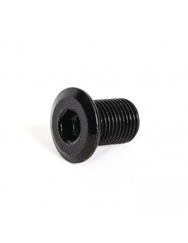 ETHIC Brake Screw x1